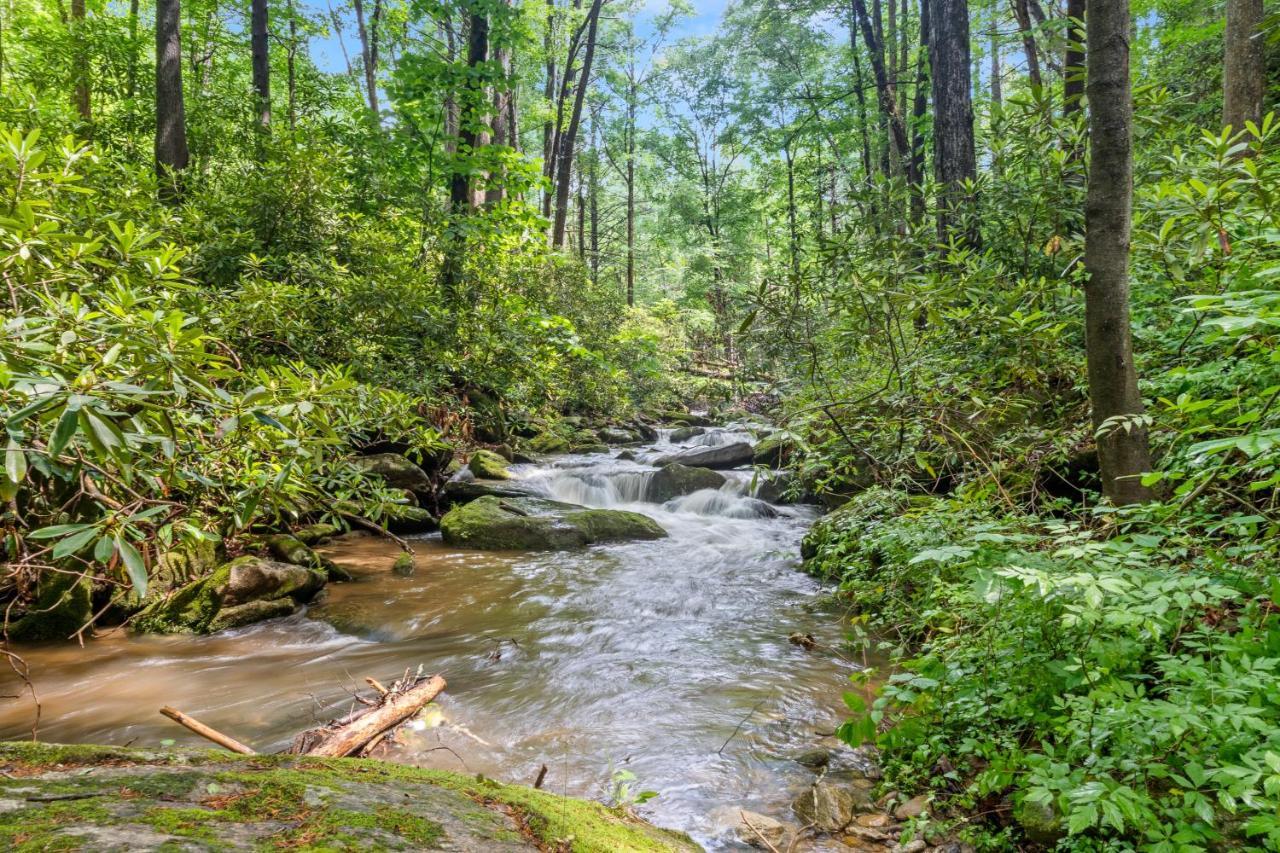 Falling Waters At Rumbling Bald Lake Lure Exterior foto