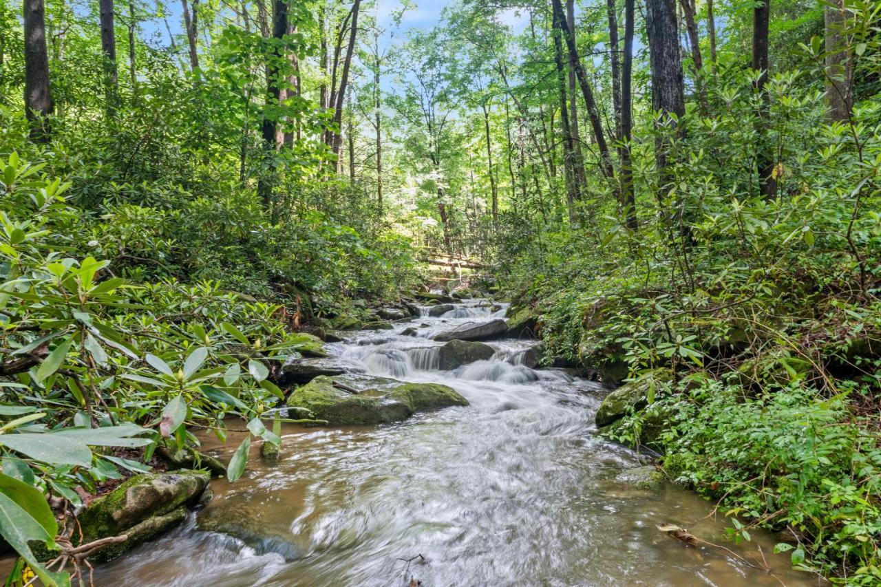 Falling Waters At Rumbling Bald Lake Lure Exterior foto